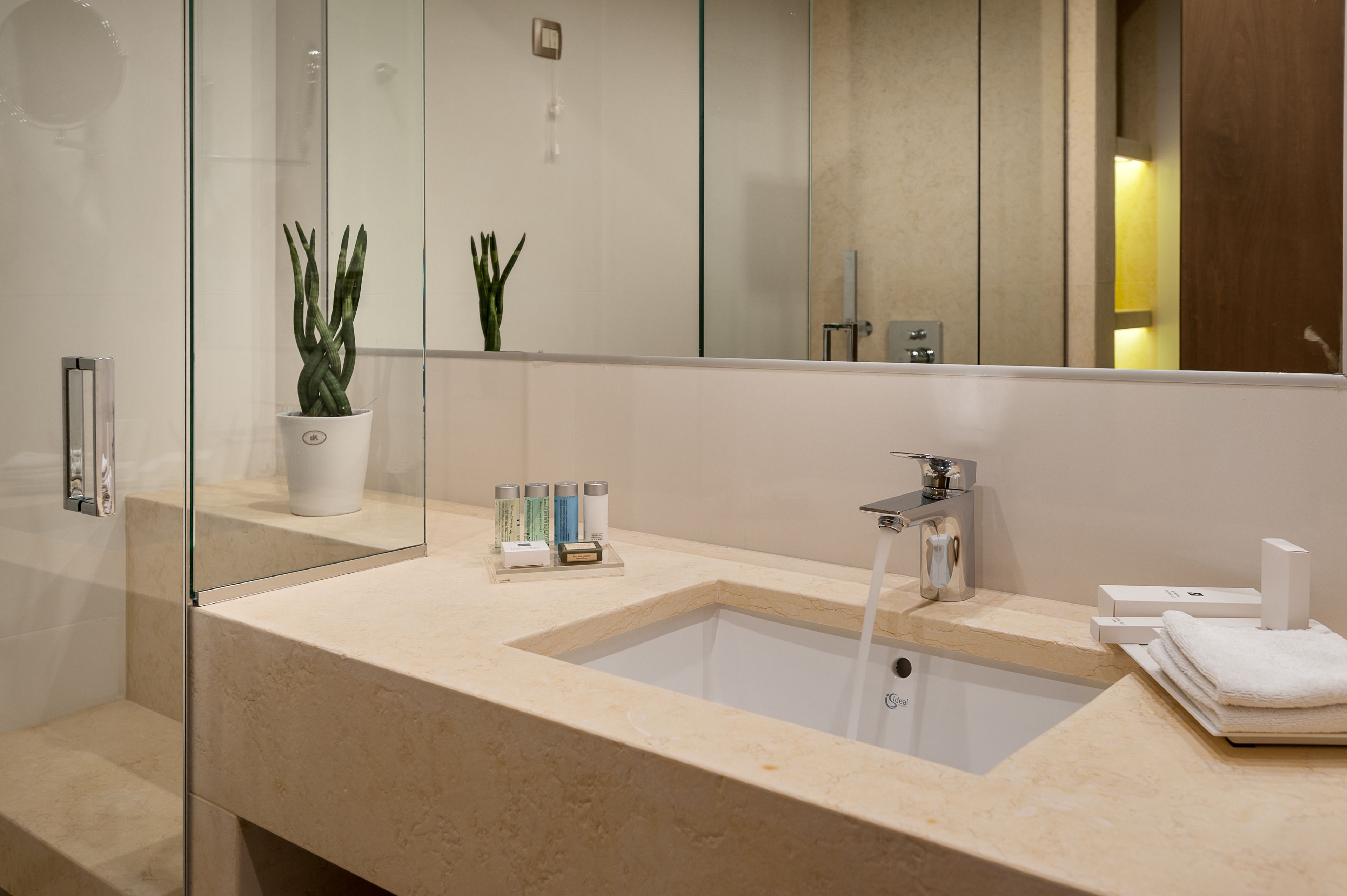 A modern bathroom with a glass shower enclosure, a sink with a mirror, and a potted plant.