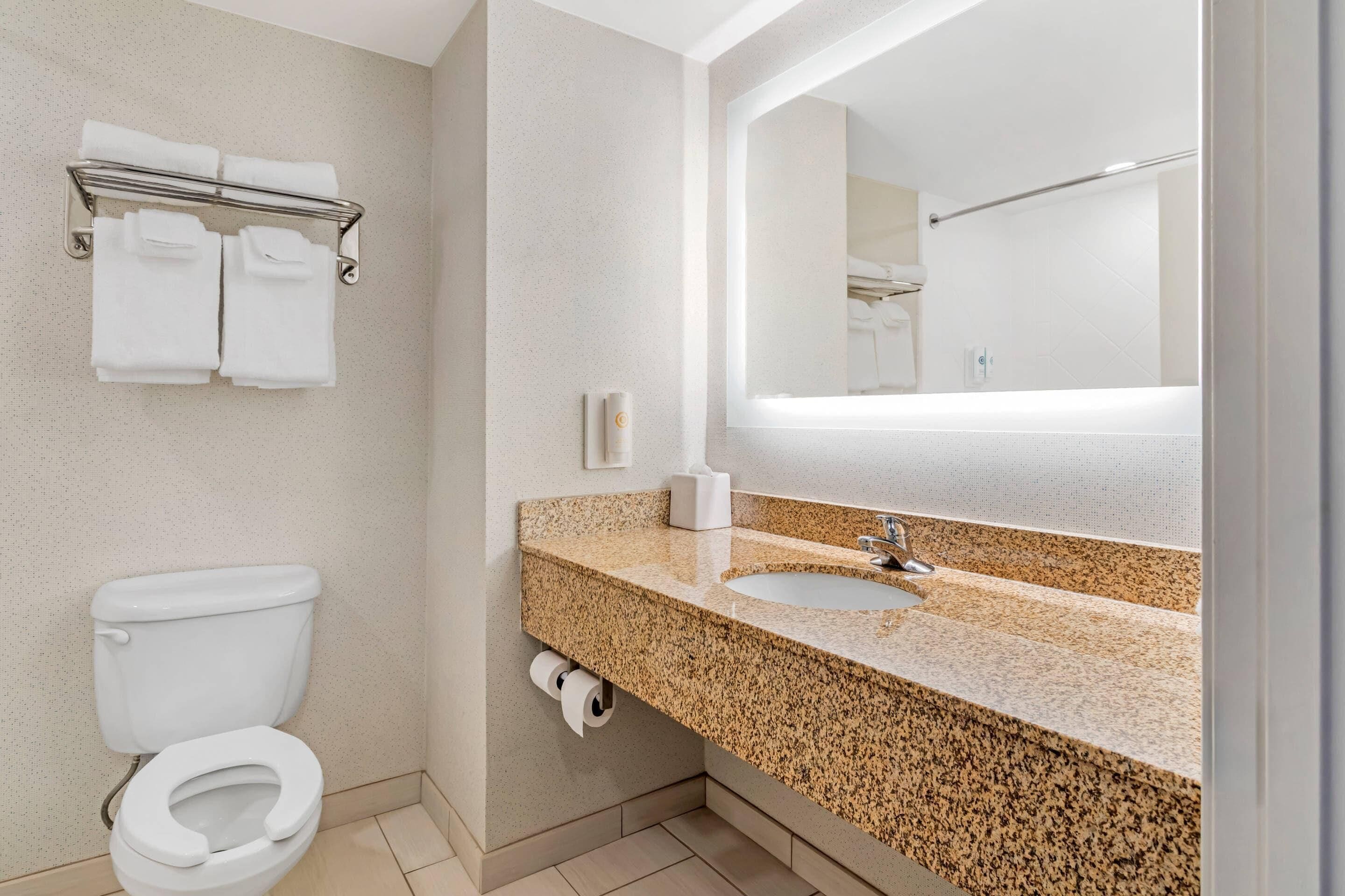 Une salle de bain équipée de toilettes, d’un lavabo, d’un porte-serviettes et d’un grand miroir.