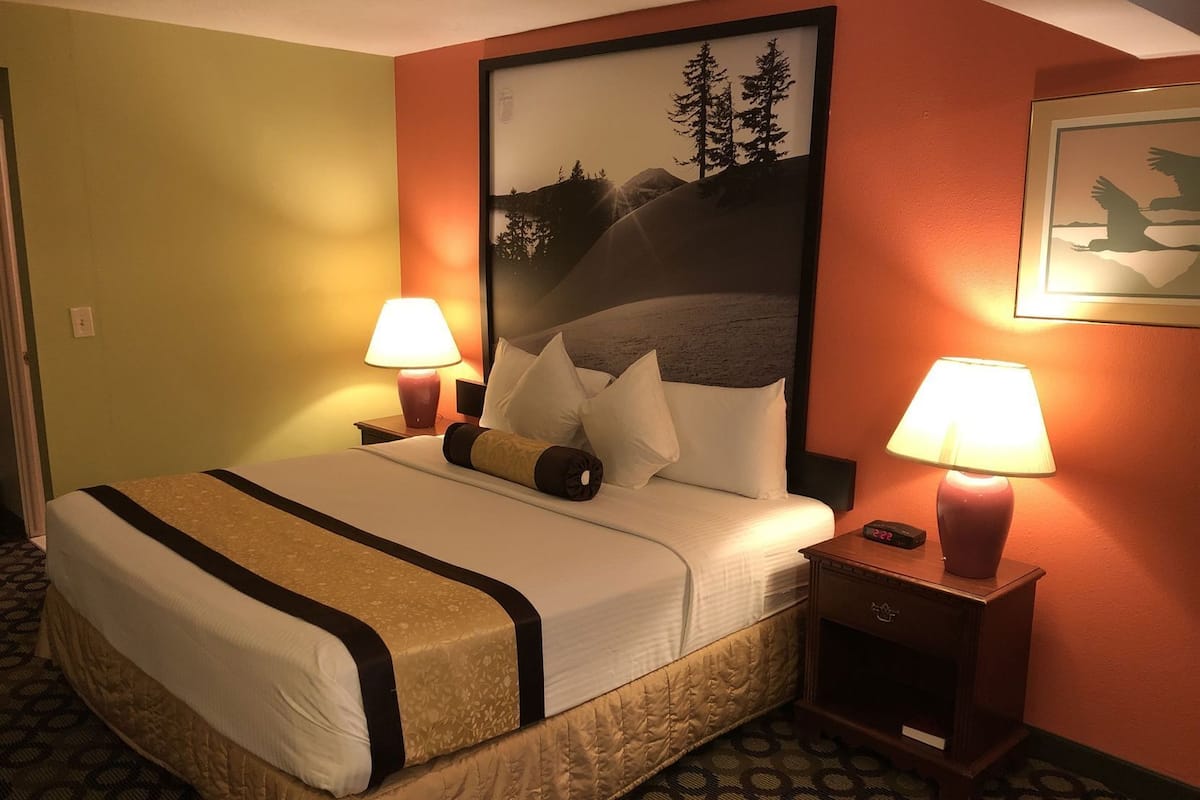 Een hotelkamer met een bed, twee bedlampen, een nachtkastje, een lijst met een foto aan de muur en een kamerbreed tapijt met dessin.