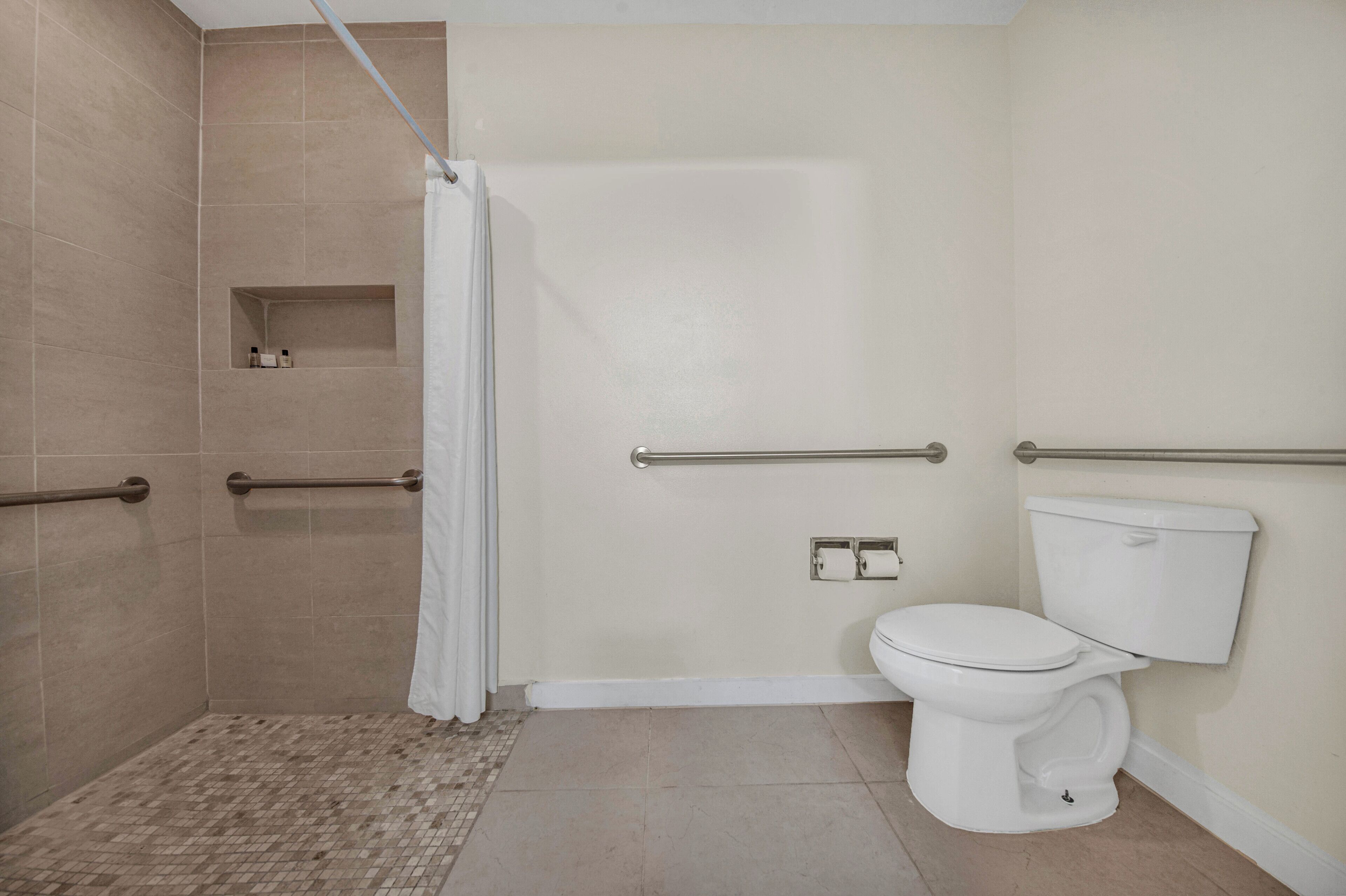 A bathroom with a shower, toilet, and handrails.