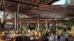 An outdoor bar area with a thatched roof, seating, and a variety of plants. - Ekies All Senses Resort, a Member of Design Hotels (Sithonia)