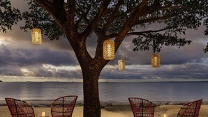 A beach scene with a large tree, four red wicker chairs, and hanging lanterns.