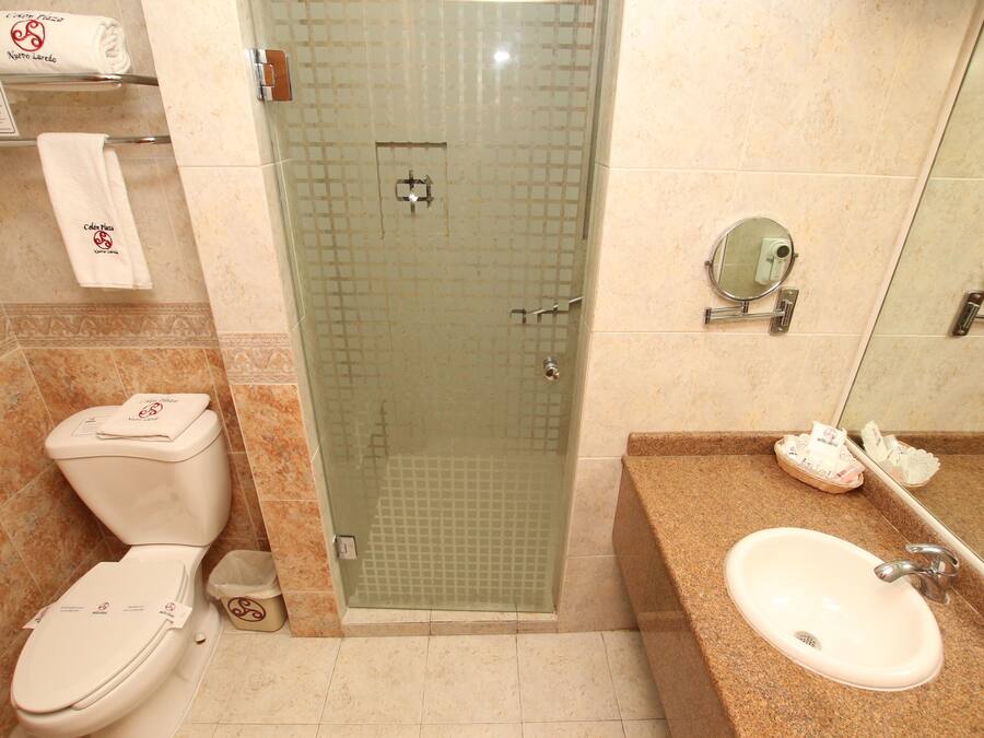 A bathroom with a toilet, shower, sink, and a mirror.