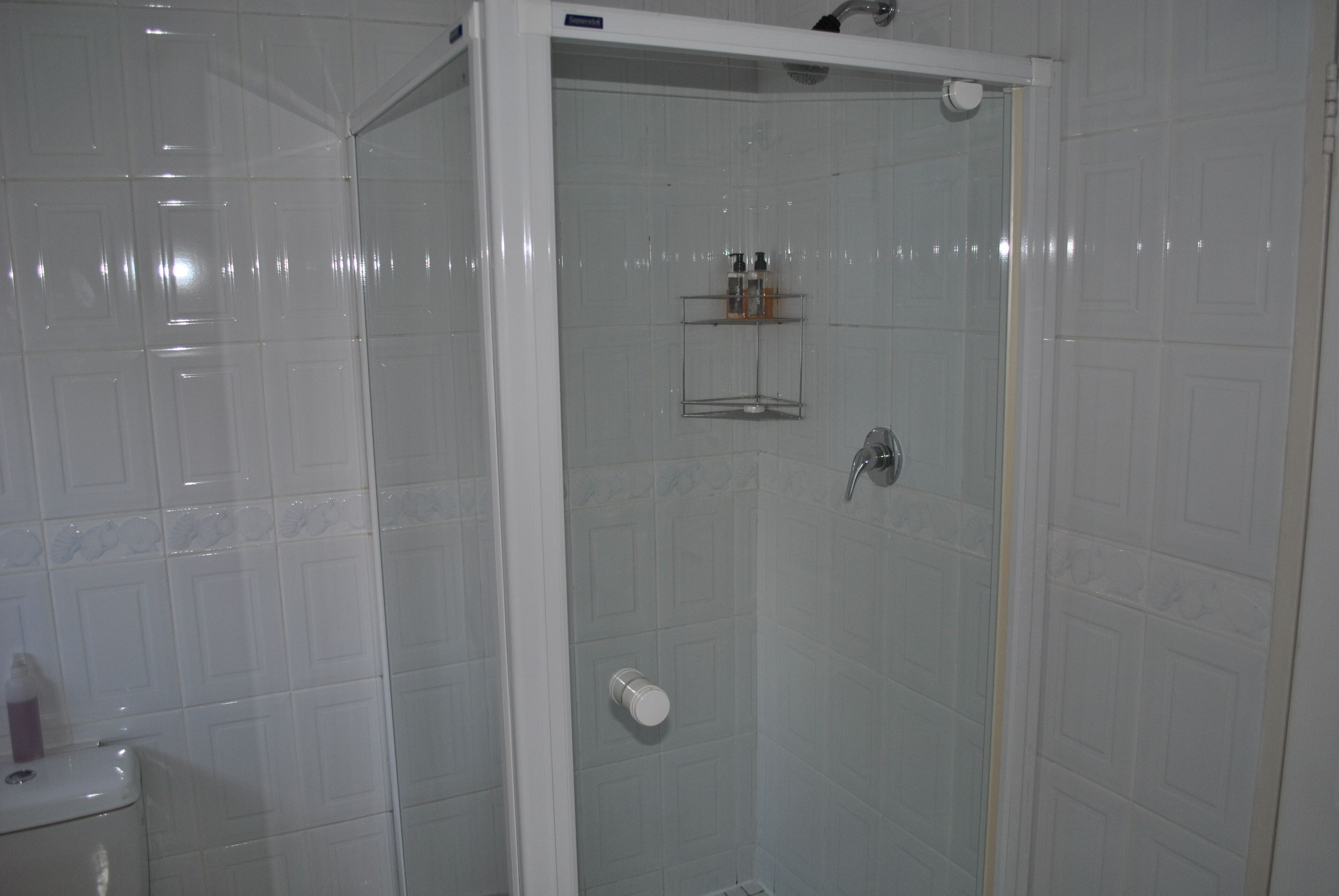 Ducha con puerta de vidrio, inodoro y estante con artículos de aseo.