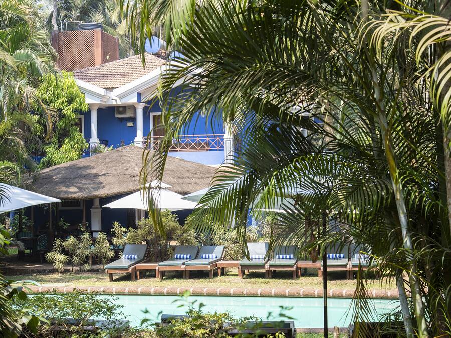 Alberca al aire libre, sombrillas en la alberca y camastros