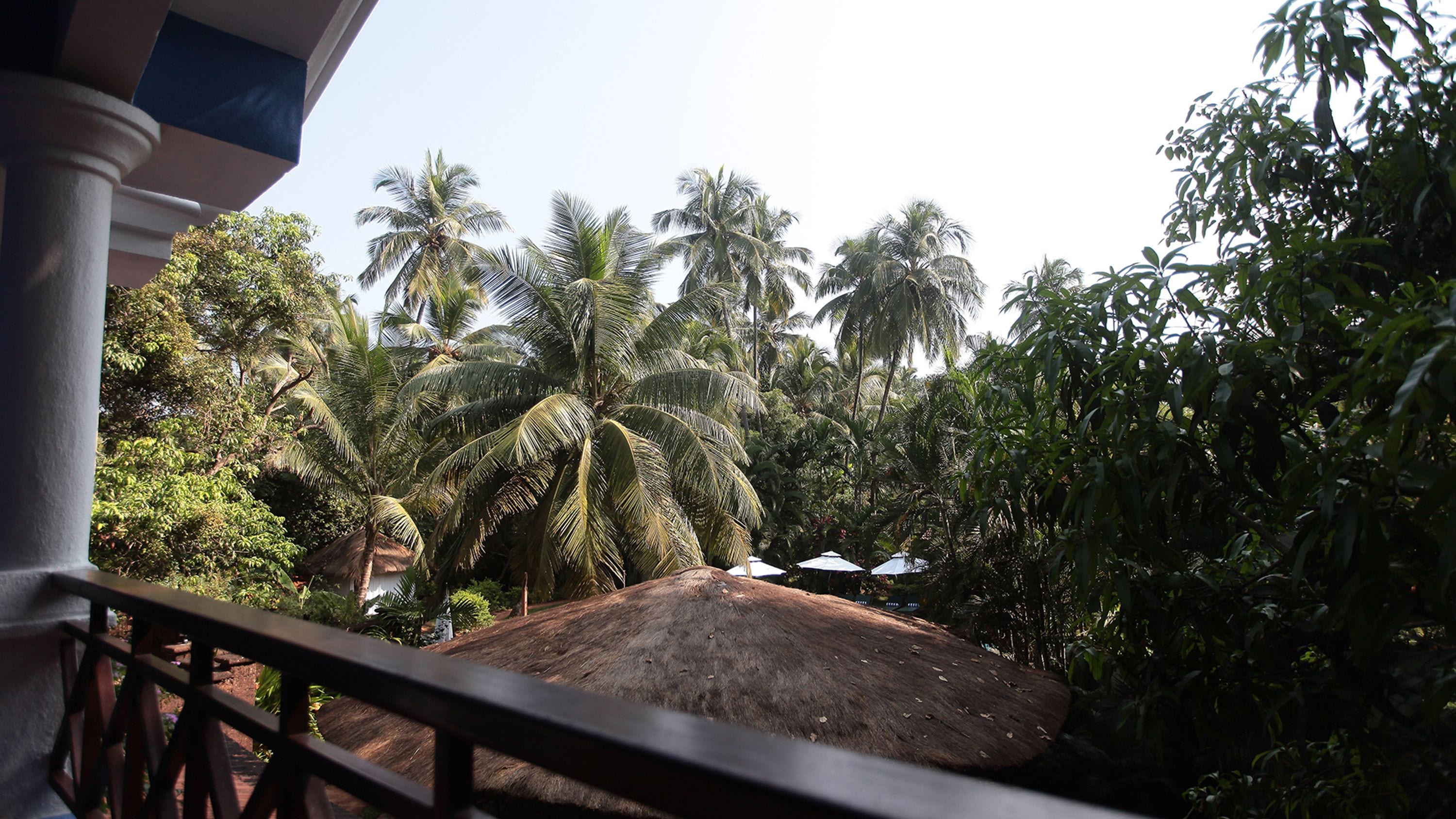 Junior Suite with Free Bike Rental | View from room