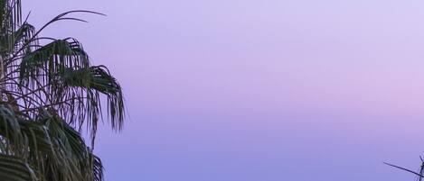 Piscine couverte, piscine extérieure, chaises longues