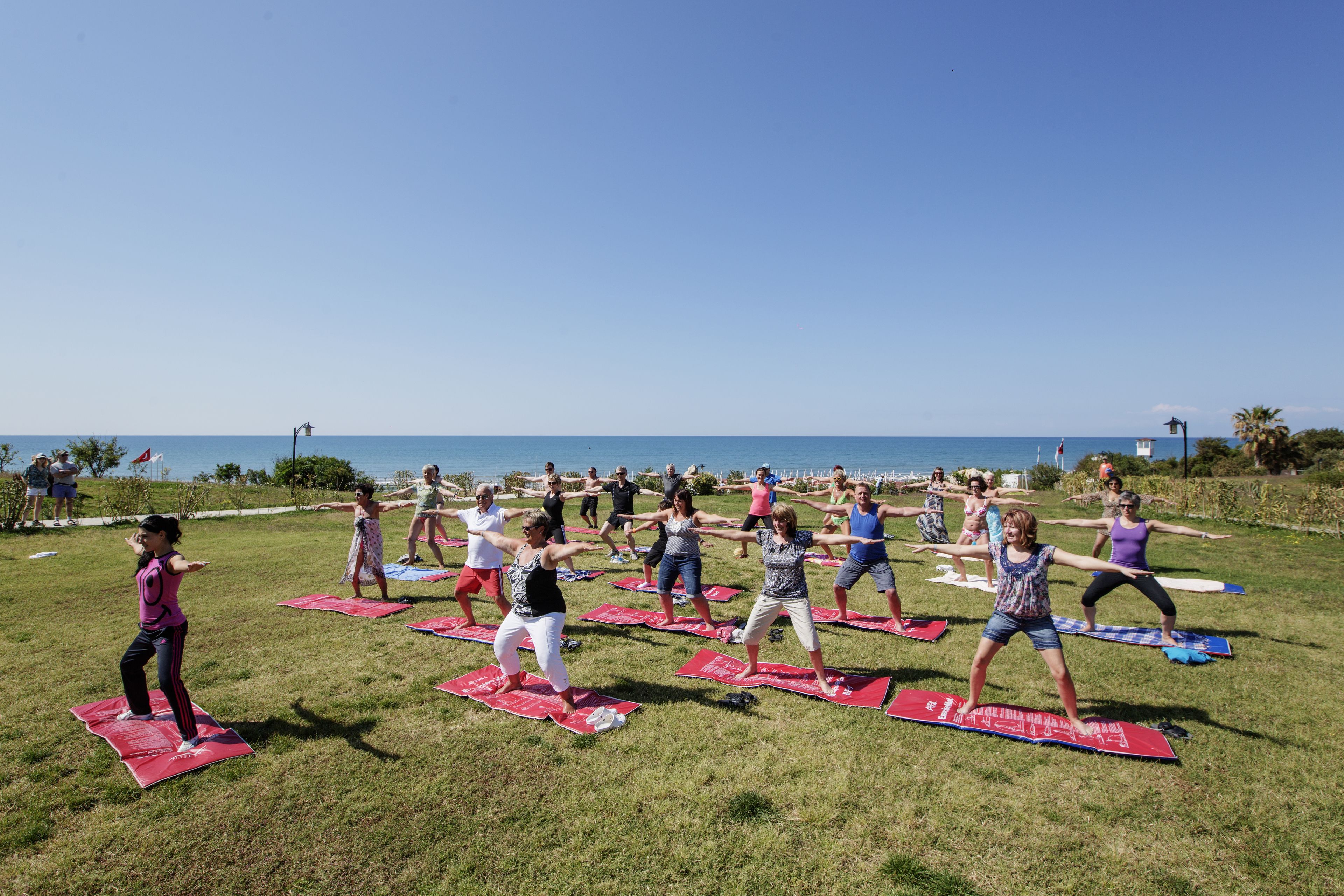 Un grupo de personas realizando una sesión de yoga al aire libre en un campo cubierto de hierba, con una vista despejada del océano al fondo.