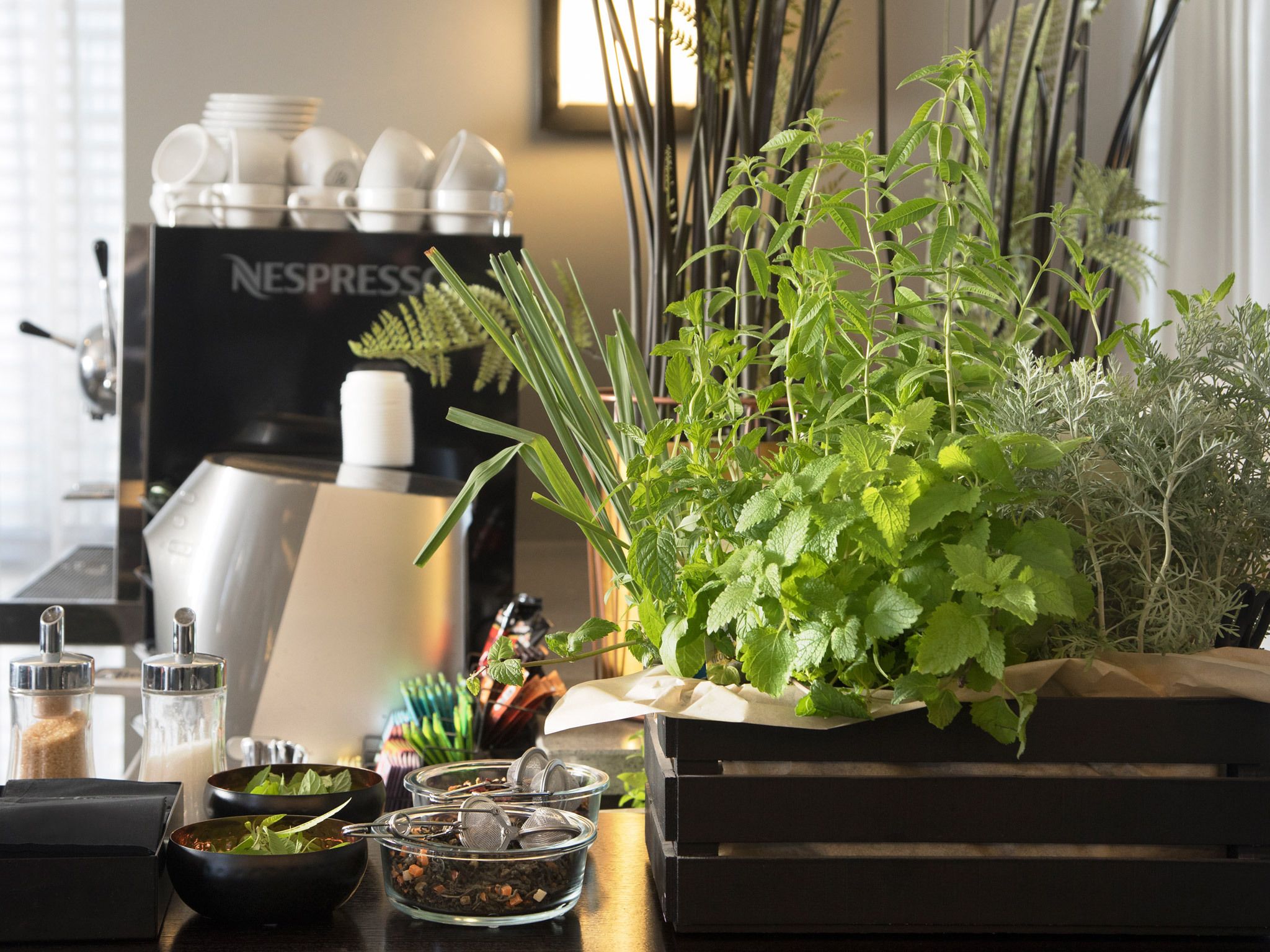 A kitchen counter with a coffee machine, a potted herb plant, and various kitchen utensils.