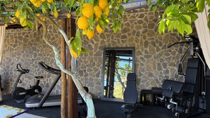 A covered outdoor gym area with exercise equipment, a stone wall, and a tree with lemons. - Hotel La Pergola (Amalfi)