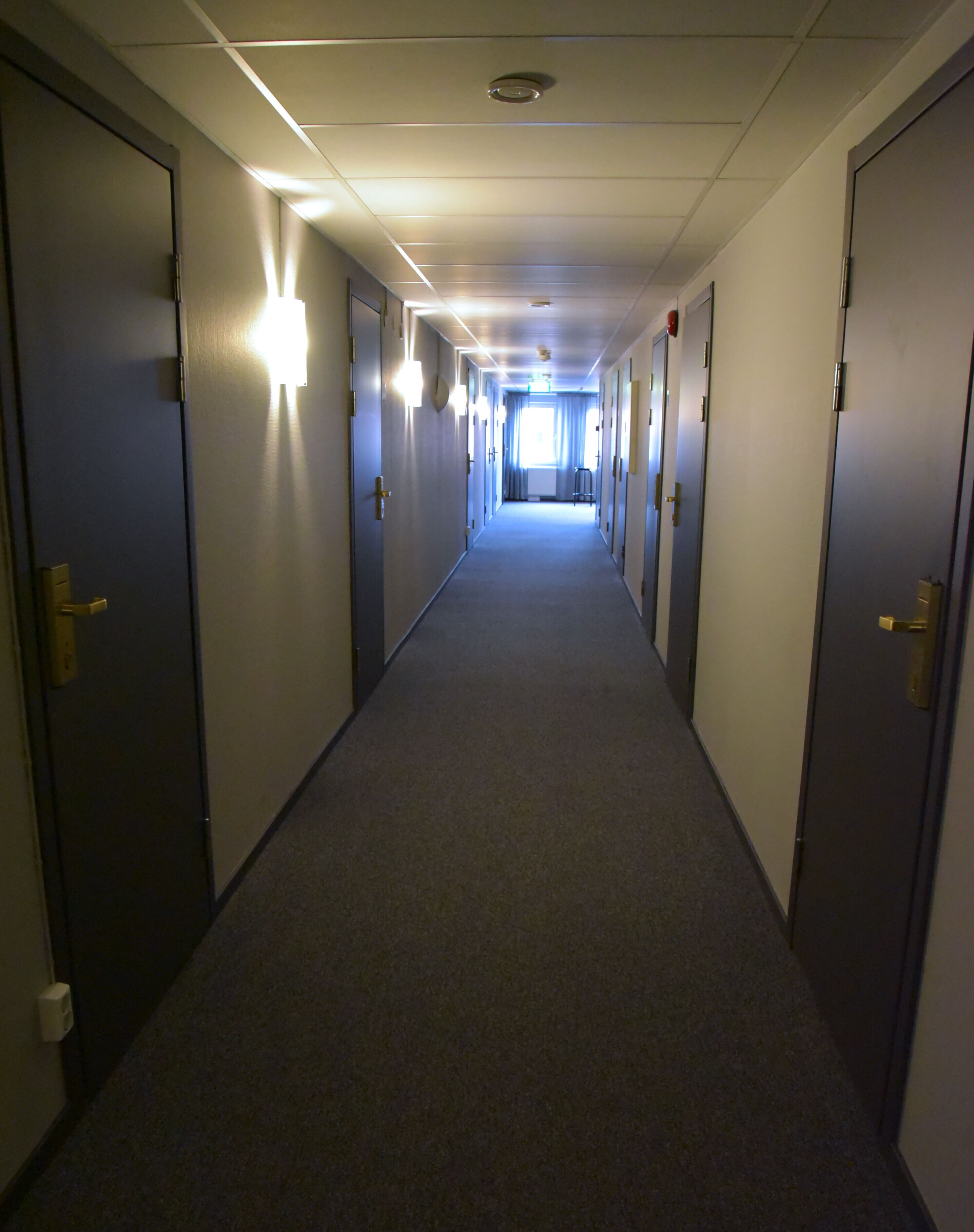 A long, narrow hallway with doors on both sides, carpeted floor, and overhead lighting.