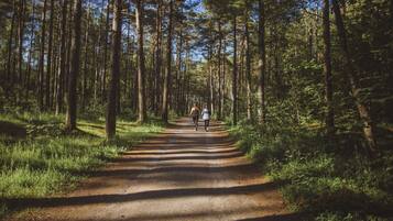 Ein Waldweg, zwei Personen entfernen sich vom Betrachter.