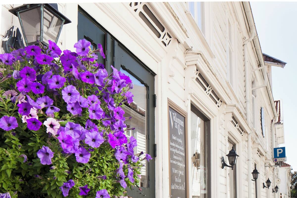 A building with a large planter of purple flowers in front of the entrance.