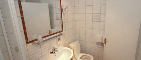 A bathroom with a sink, toilet, and a mirror.