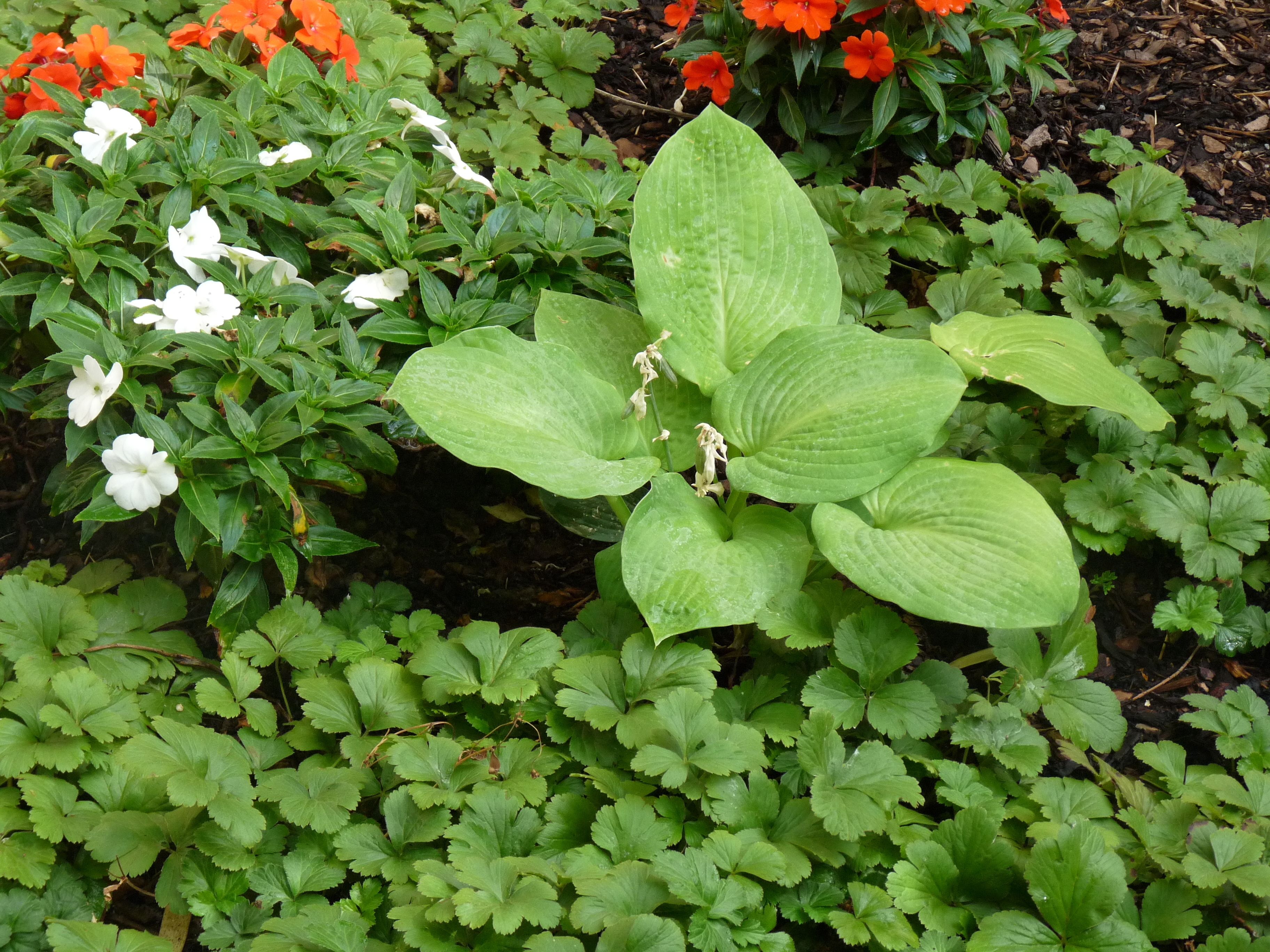 Photo - Hotel Elba am Kurfürstendamm - Design Chambers