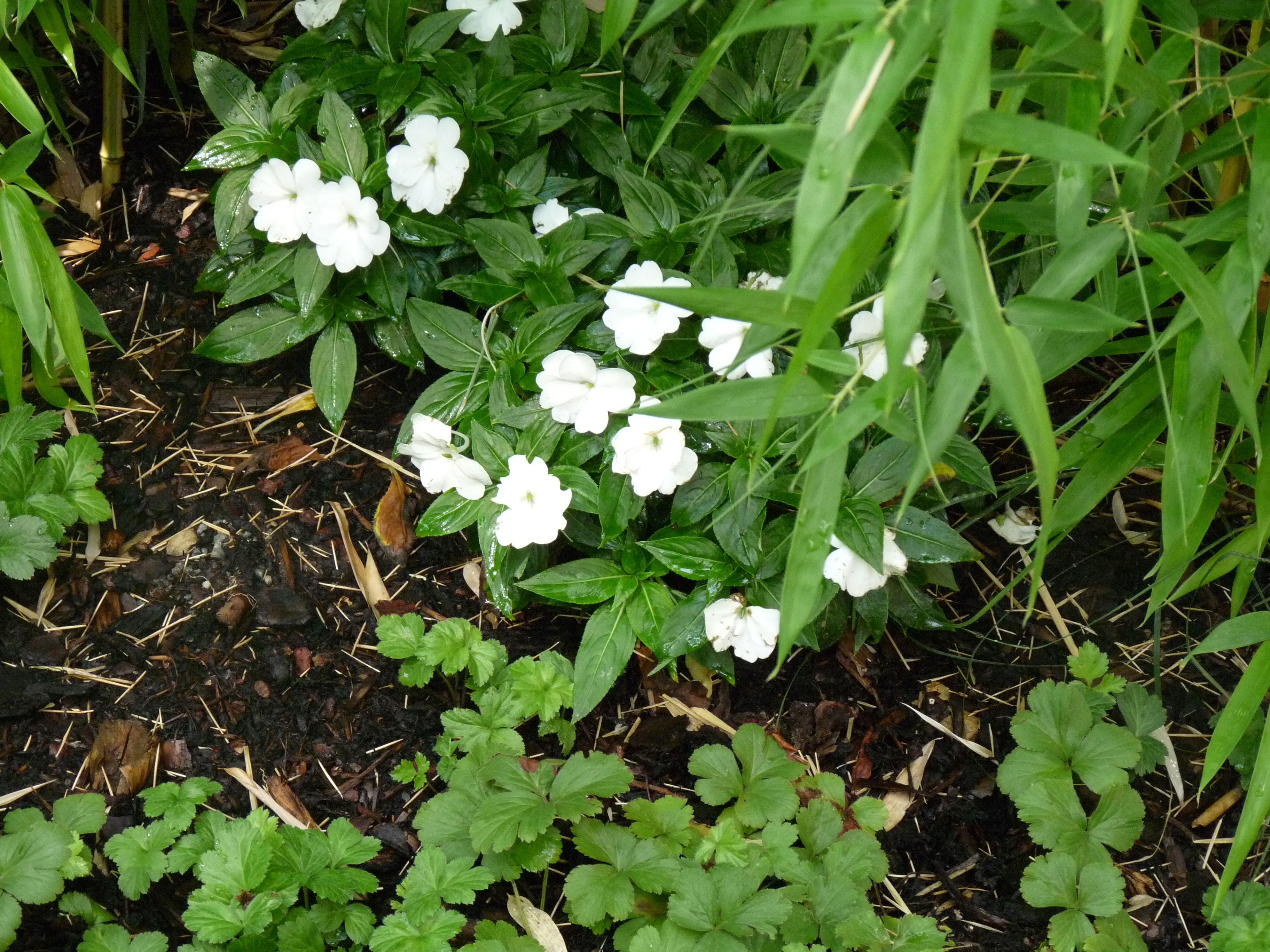 Photo - Hotel Elba am Kurfürstendamm - Design Chambers