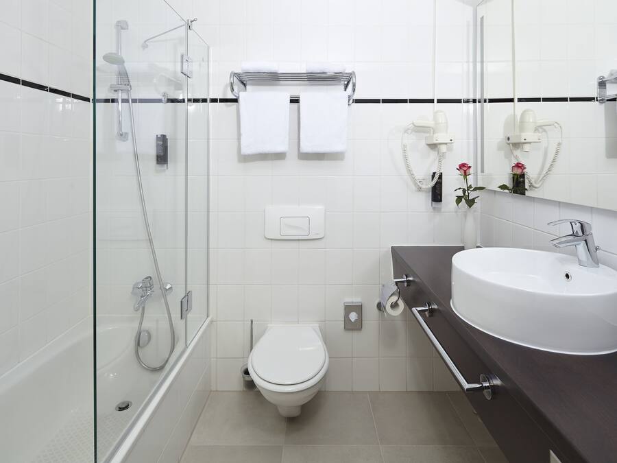 A modern bathroom with a glass-enclosed shower, a white toilet, and a dark-colored sink with a mirror above it.