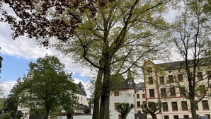 A large building with multiple windows and a tower, surrounded by trees and a grassy area with flowers. - Hotel Rheinlust (Boppard)