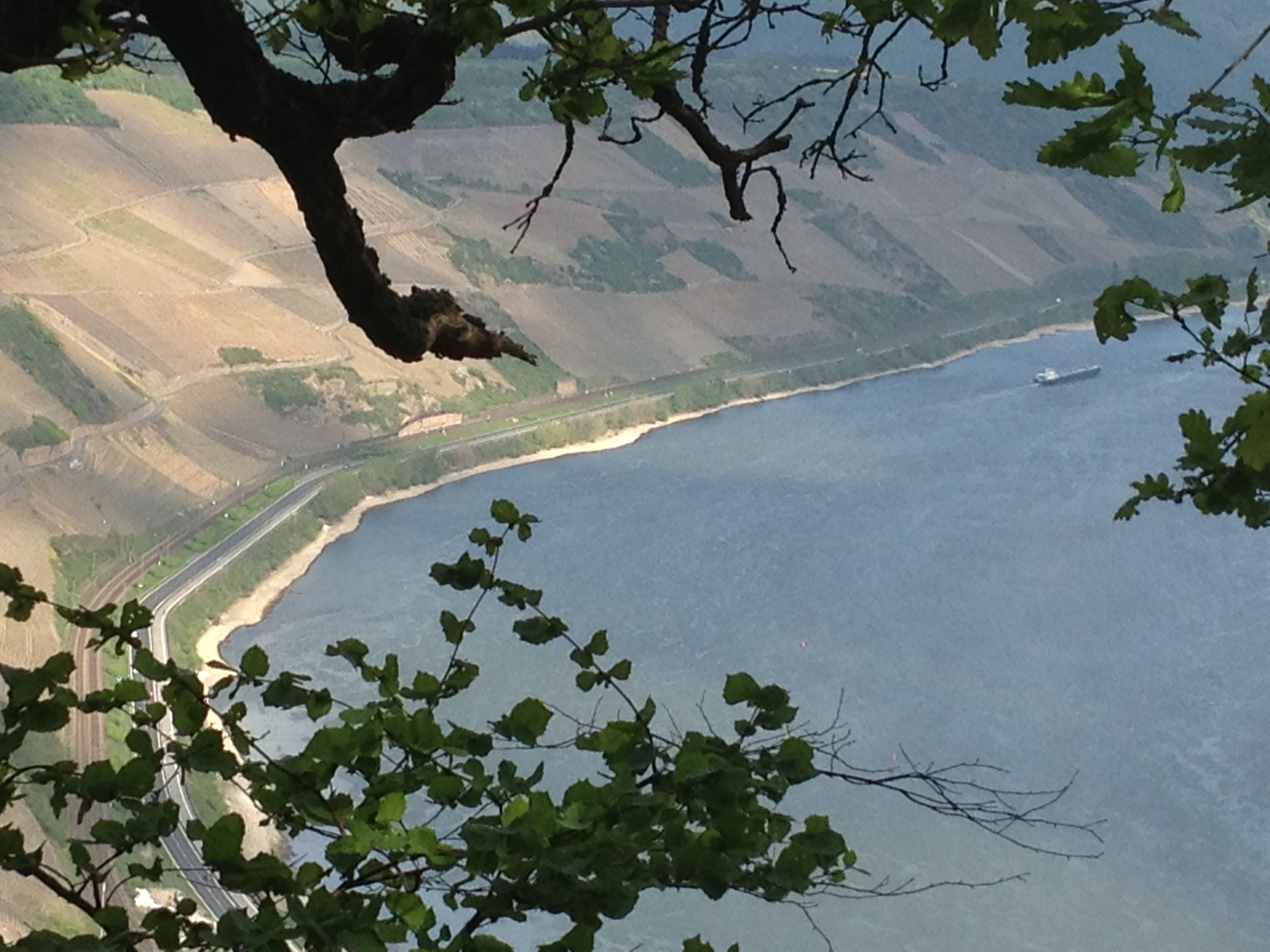 A coastal landscape with a road curving along the shoreline, surrounded by hills and a tree in the foreground.