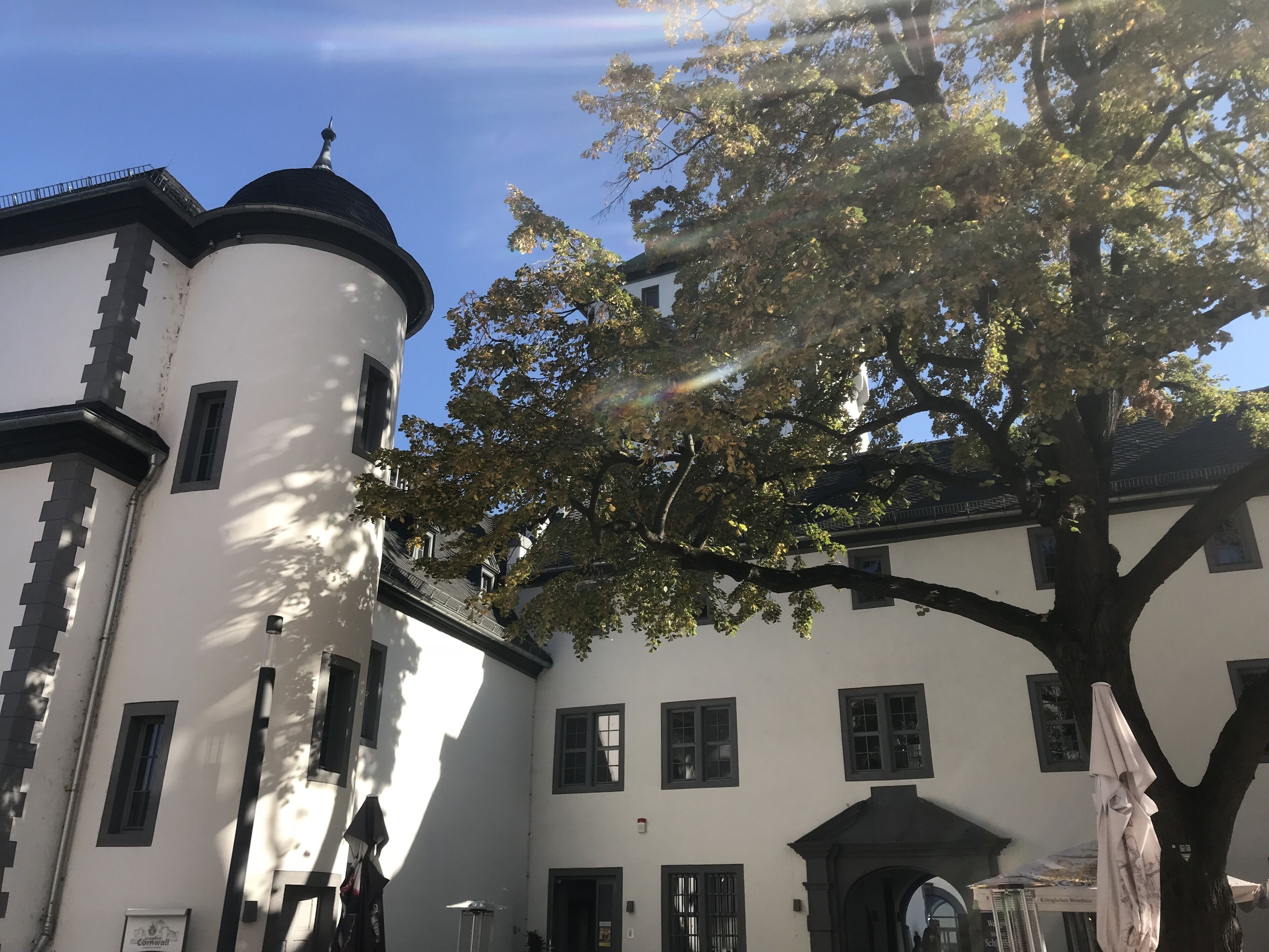 A white building with a tower, multiple windows, and a tree in front.