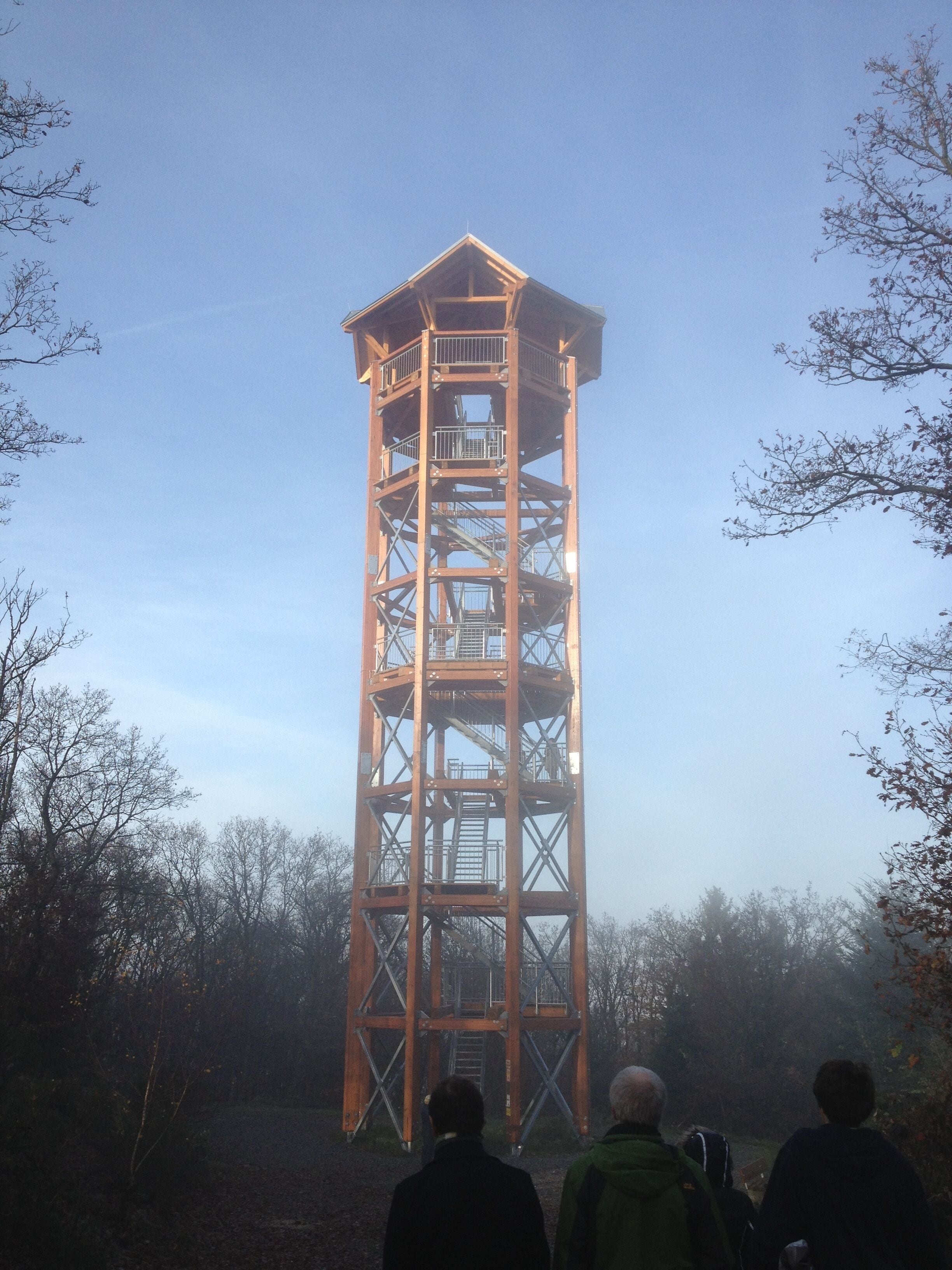 Una torre alta i oberta, amb diversos nivells i baranes, envoltada d'arbres.