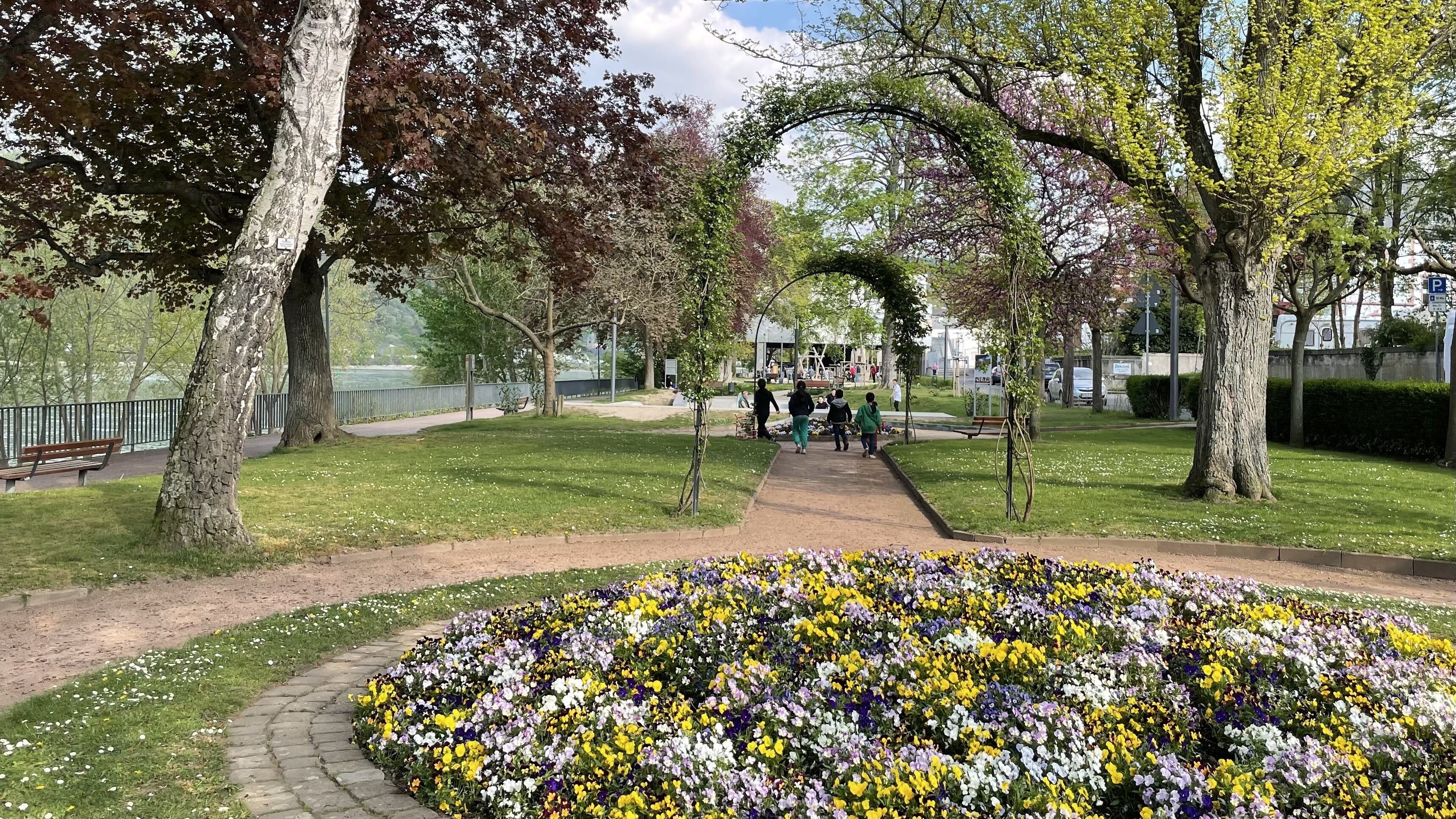 A park with a paved walkway, benches, and a flower bed with various flowers.