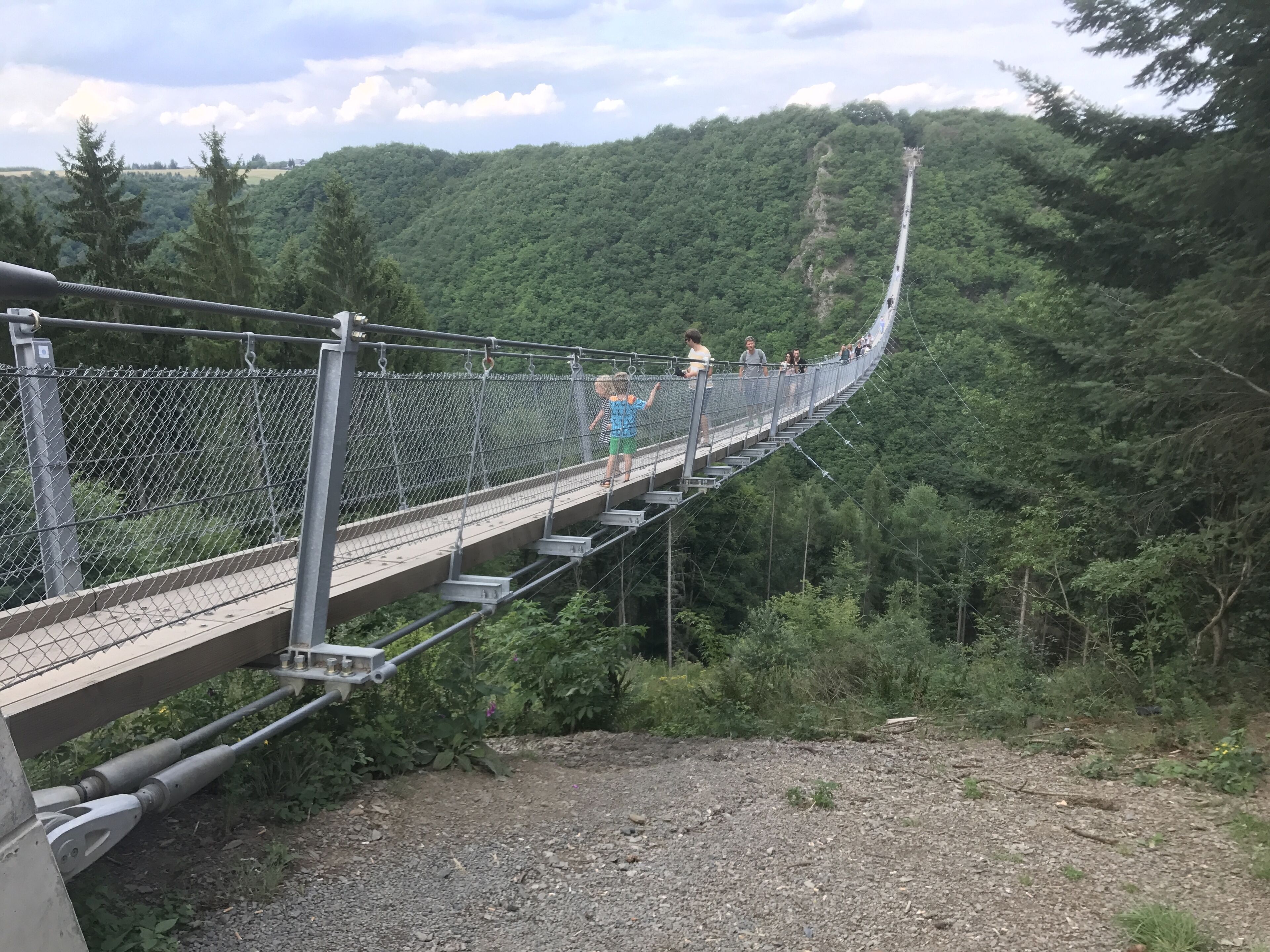 A suspension bridge with metal railings and a walkway, surrounded by dense forest and hills.