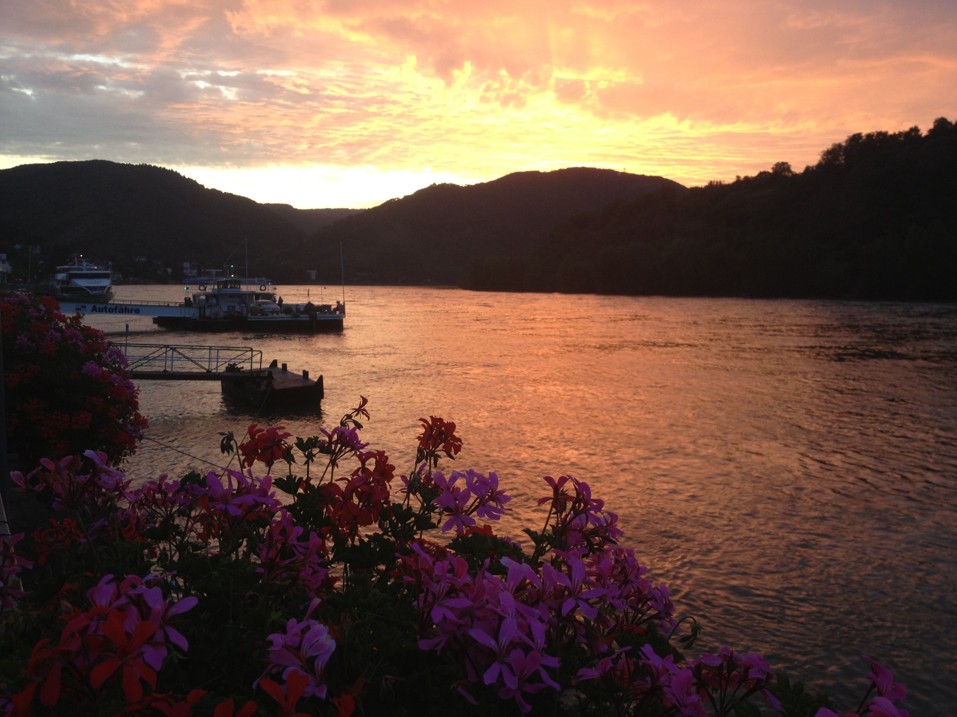A sunset view of a river with boats, surrounded by hills and flowering plants.
