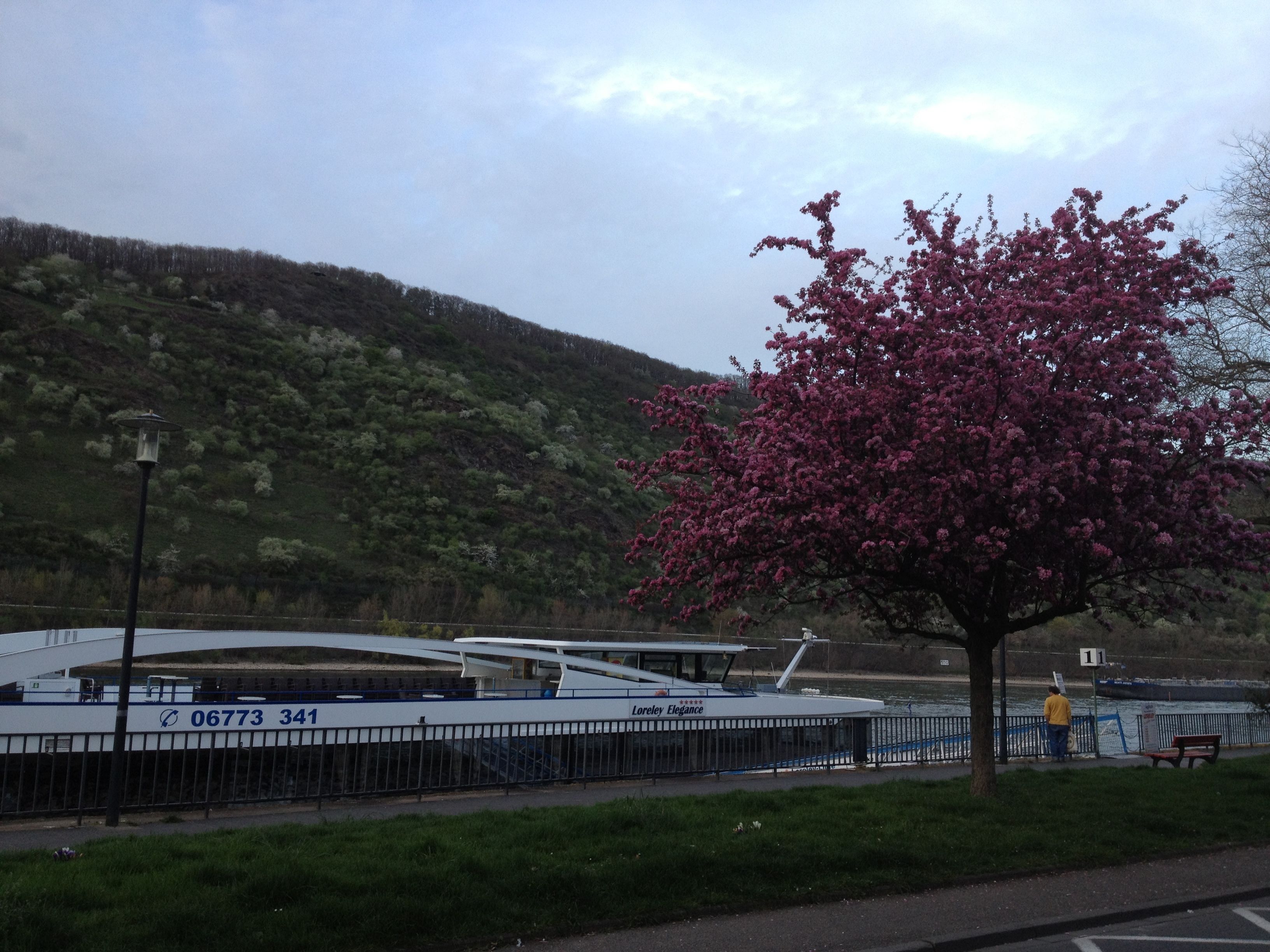A river with a boat docked on the right side, a tree with pink blossoms in the foreground, and a hilly landscape in the background.