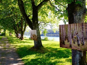 Um parque com um caminho, árvores e um lago ao fundo.