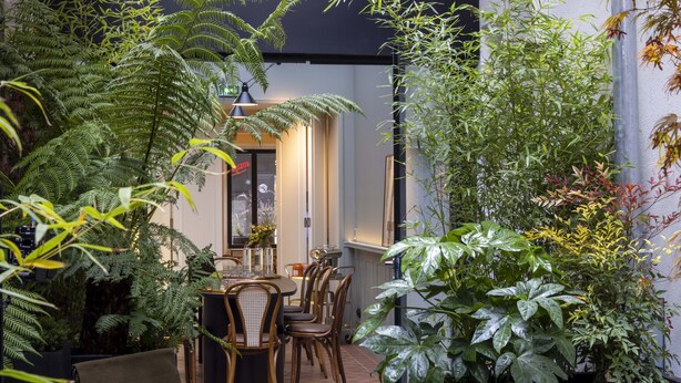 An indoor garden area with a dining table and chairs, surrounded by various plants and a lamp. - Dadou Paris (Paris)