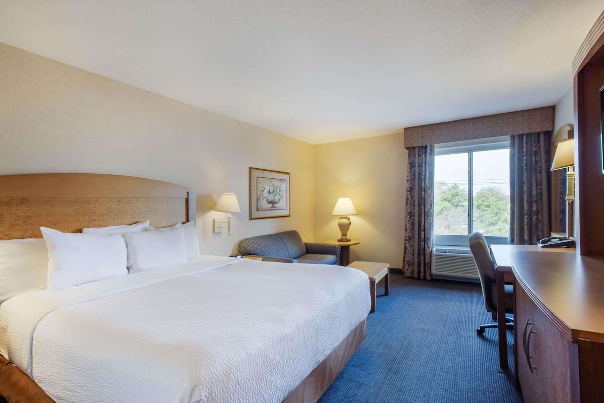 Une chambre d’hôtel avec un grand lit, un bureau, une chaise, une lampe et un tableau au mur.