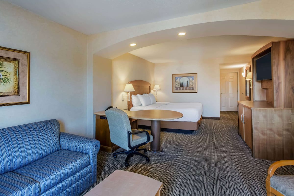 Une chambre d’hôtel avec un lit, un bureau et une chaise, un canapé, une télévision et un tableau au mur.