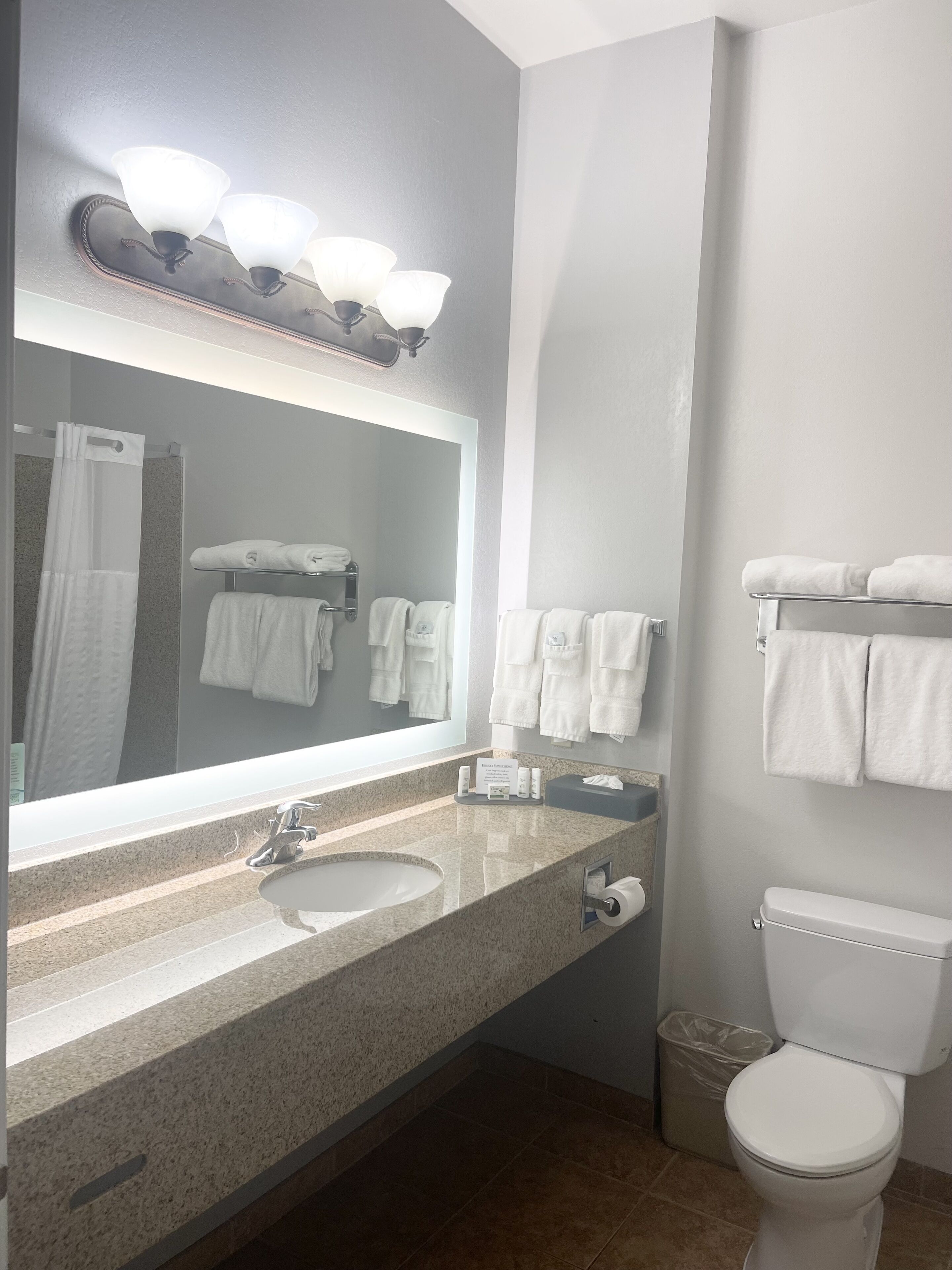 combined shower/bathtub, free toiletries, hair dryer, towels