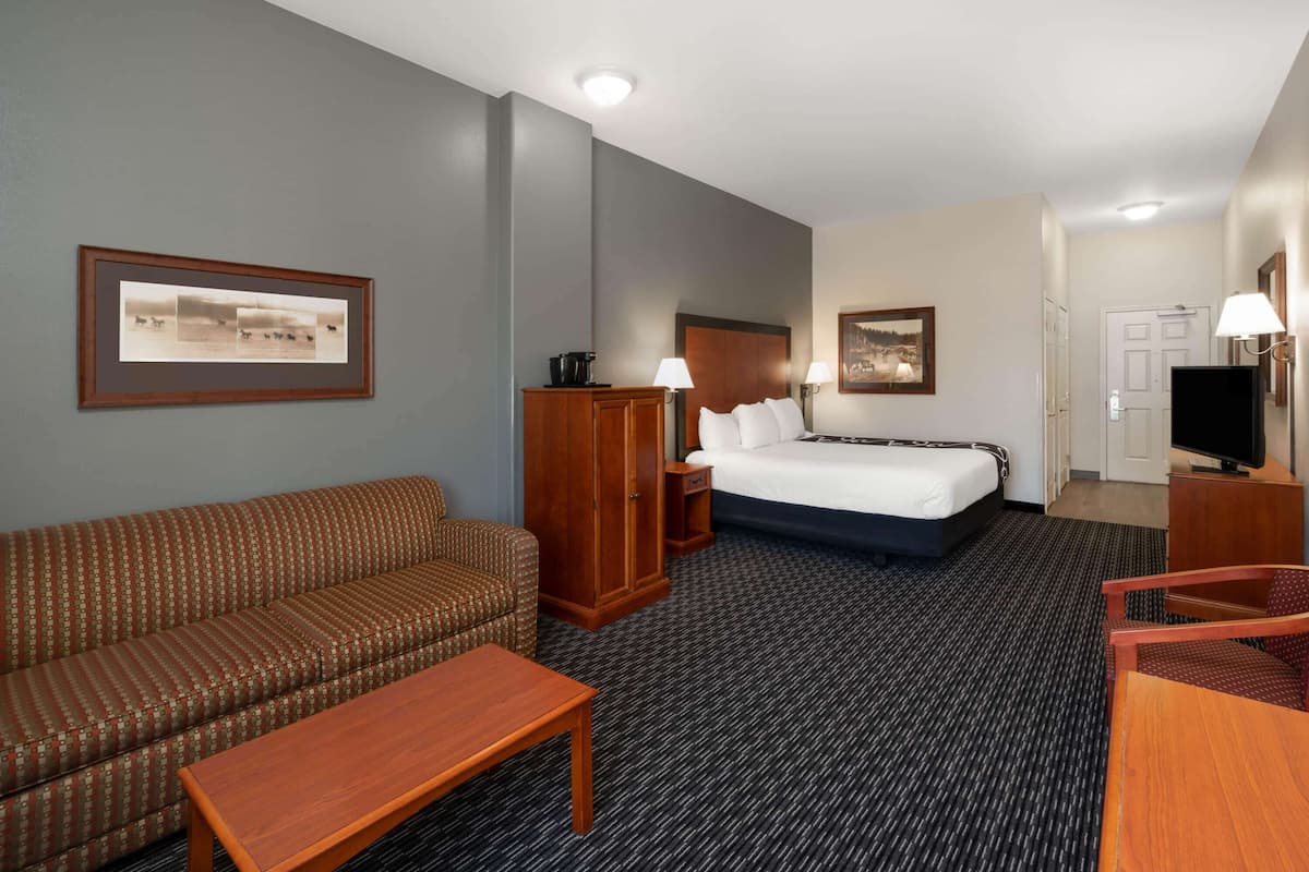A hotel room with a bed, a sofa, a desk, and a television.
