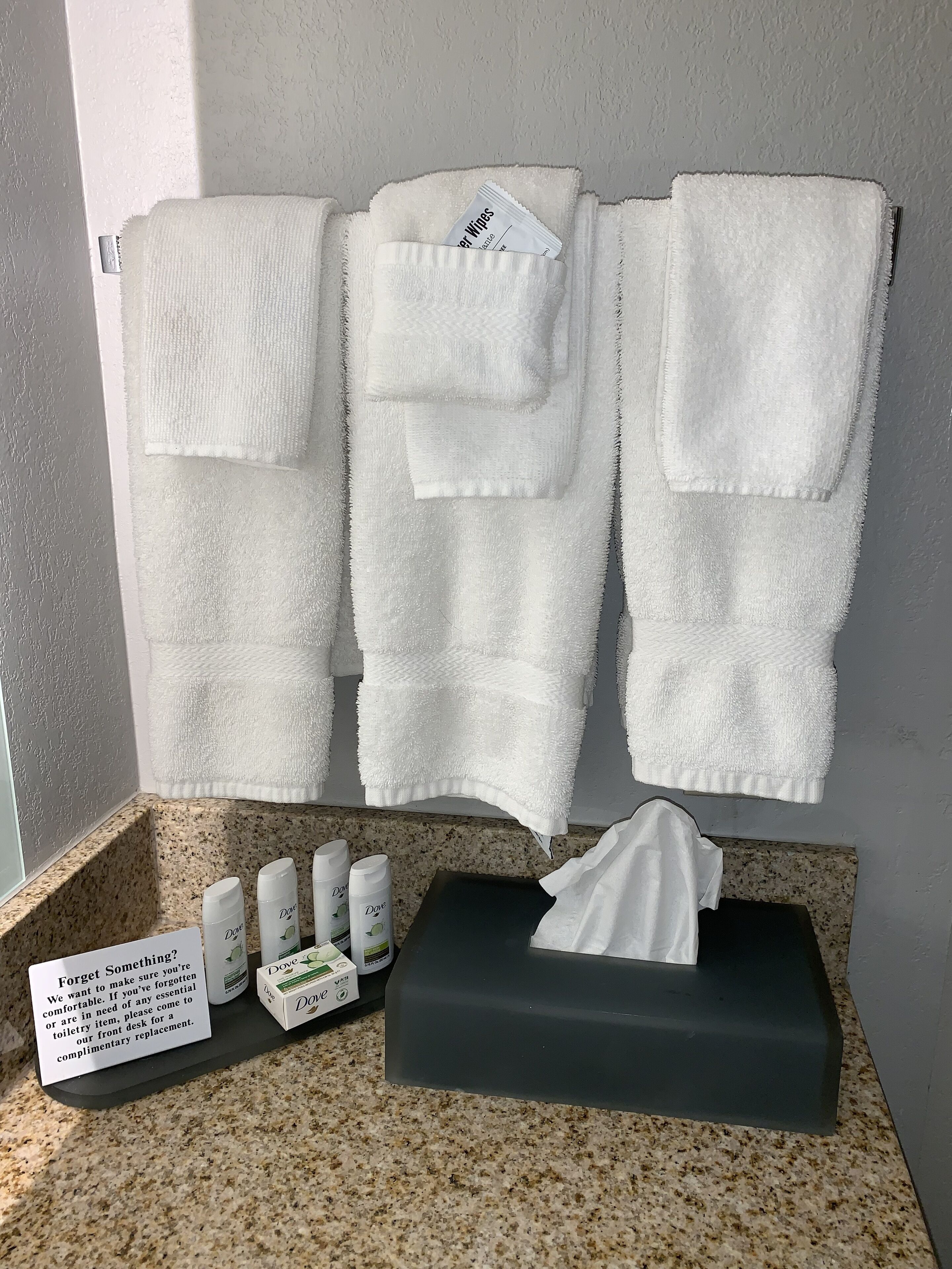 combined shower/bathtub, free toiletries, hair dryer, towels