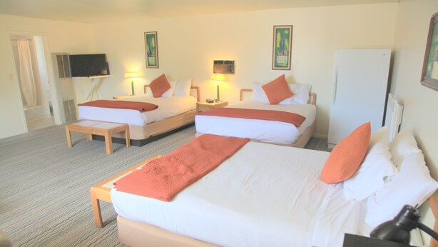 Una habitación de hotel con dos camas, televisión, refrigerador y escritorio con lámpara.