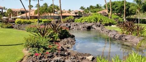 A landscaped area with a small pond, palm trees, and a building with a red roof in the background.