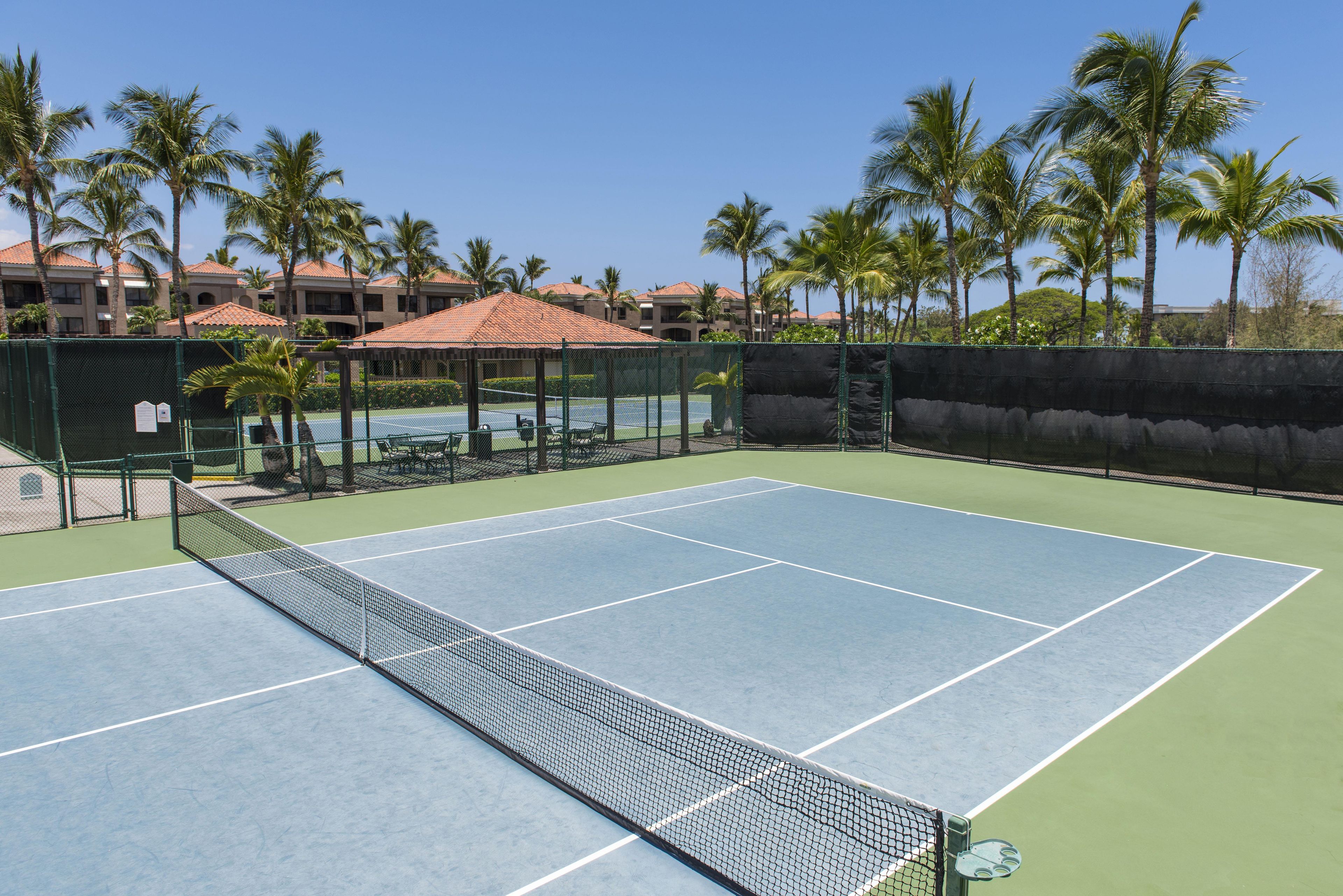 A tennis court with a net, surrounded by a fence and palm trees.