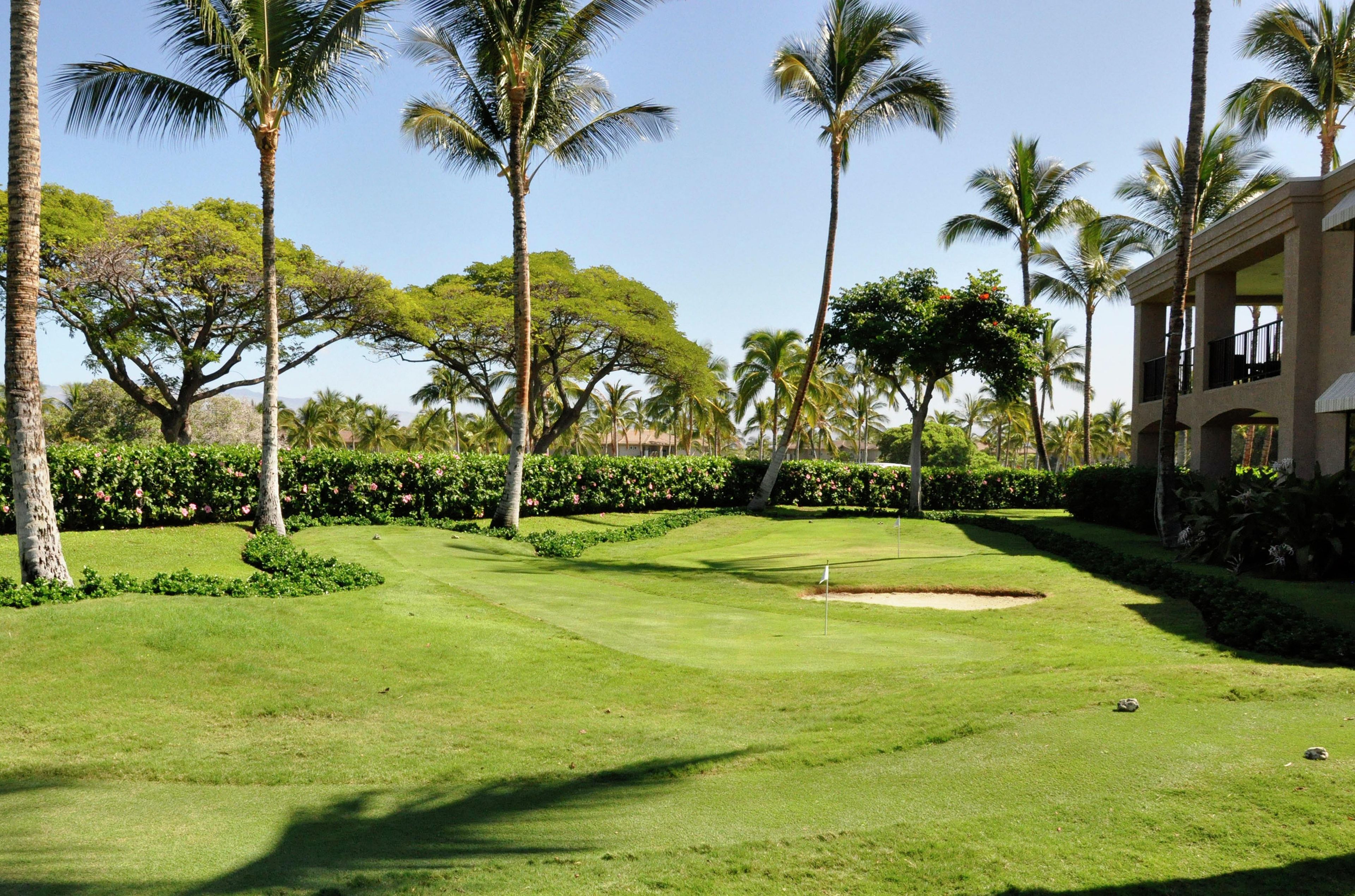 A well-maintained golf course with a clear flagstick, surrounded by palm trees and a building with balconies.