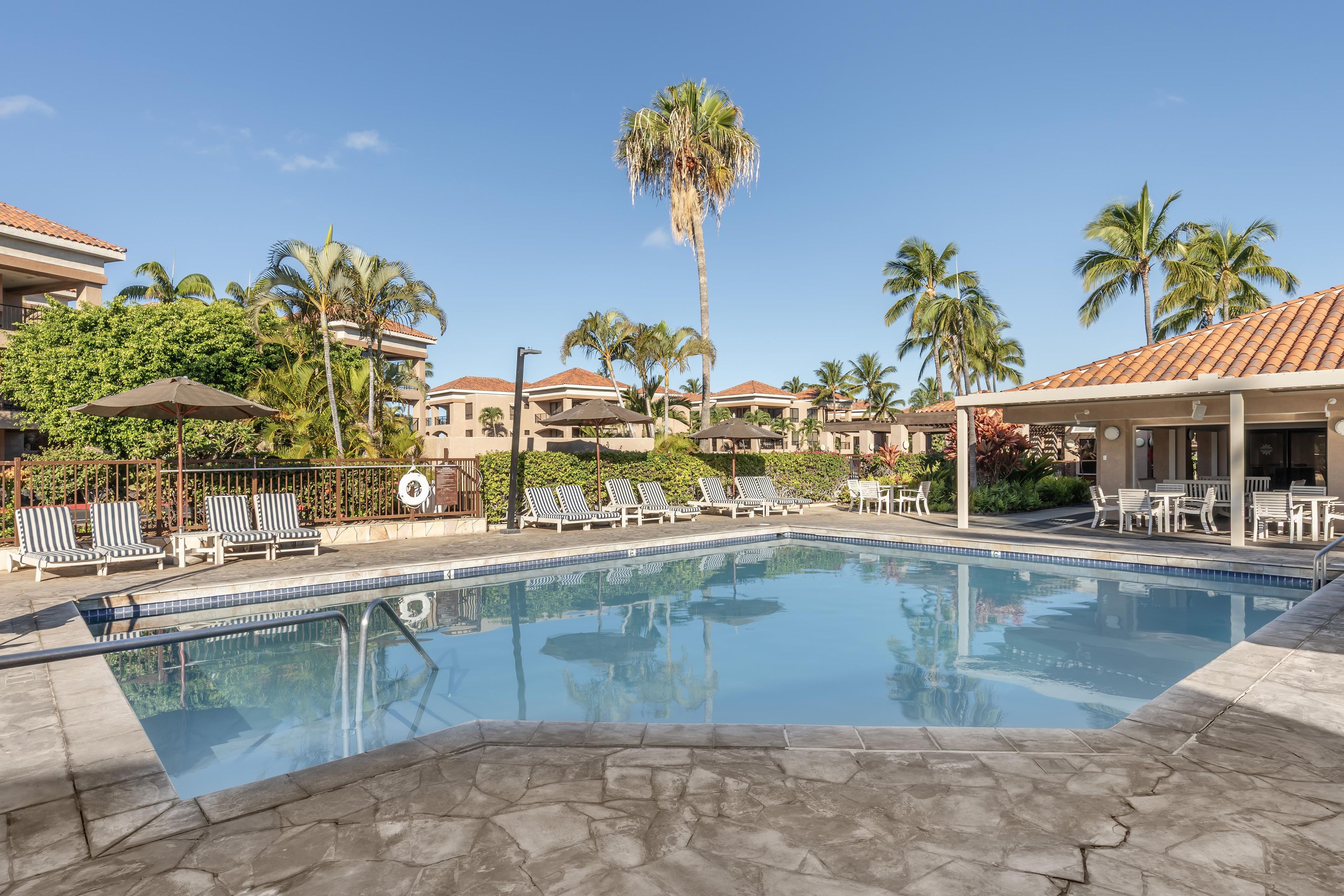 Una piscina con sillas de descanso y sombrillas, rodeada de palmeras y edificios con techos de tejas.