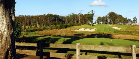 Un campo de golf con búnkeres de arena, una valla de madera y una fila de árboles al fondo.