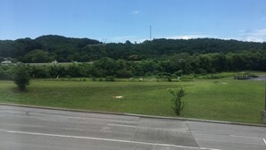 Un champ verdoyant, avec une route au premier plan et une colline parsemée d’arbres à l’arrière-plan.