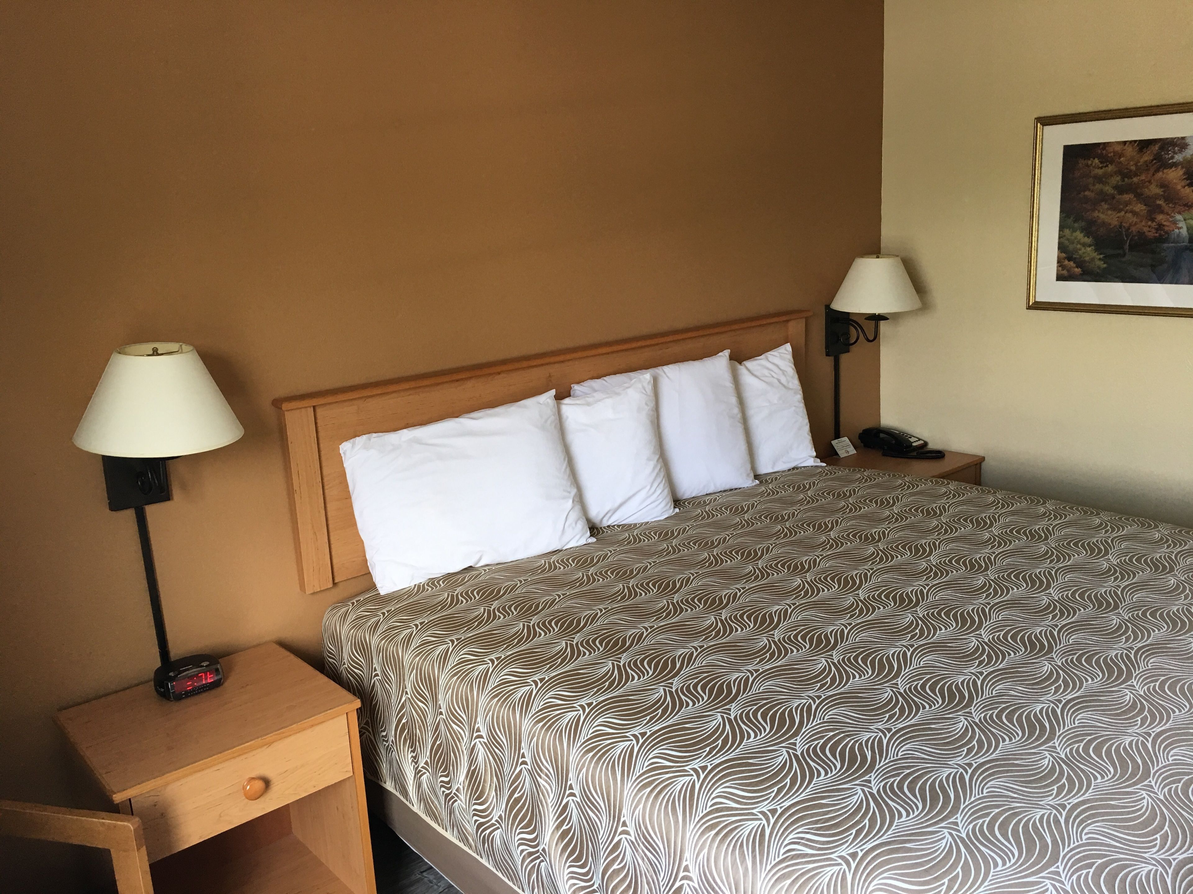 A hotel room with a bed, two bedside lamps, a nightstand with a phone, and a wall-mounted picture.