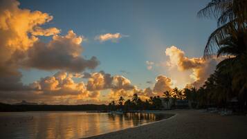 A beach with palm trees and a calm sea.