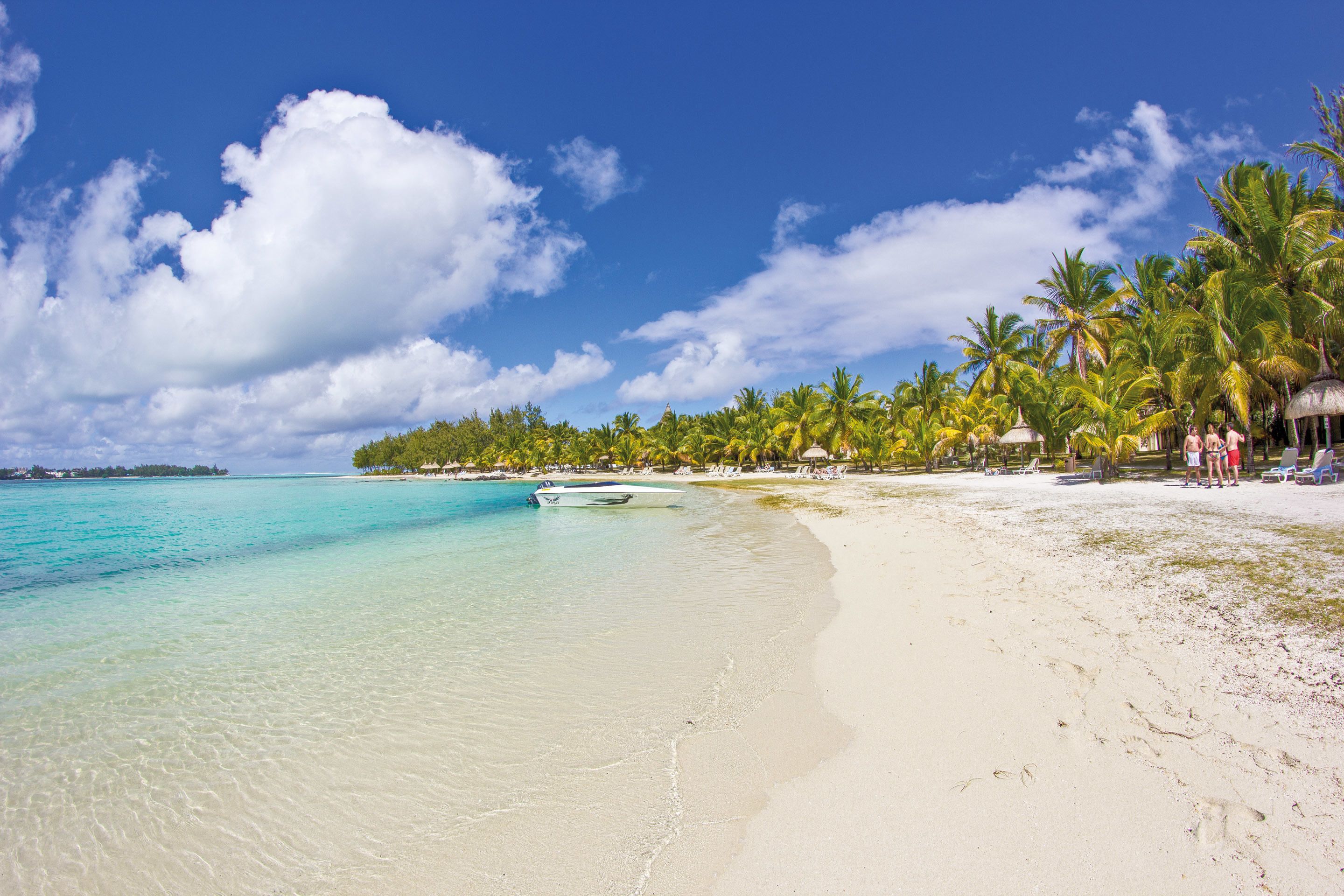 A beach with clear turquoise water, white sand, and palm trees.