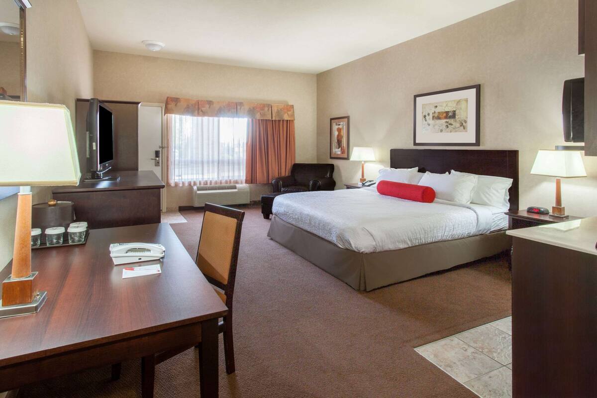 Habitación de hotel con cama, escritorio con lámpara, una silla, televisor y ventana con cortinas.