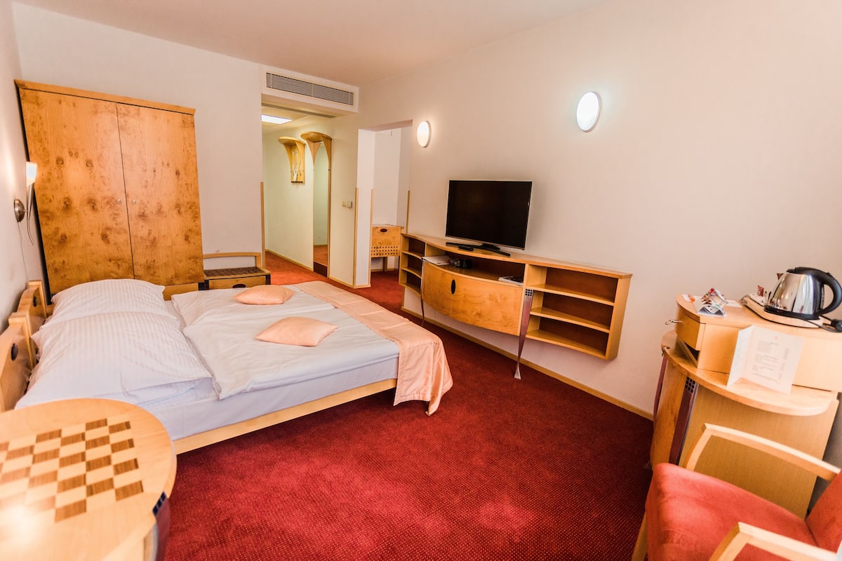 A room with a bed, a TV, a desk, and a chair.