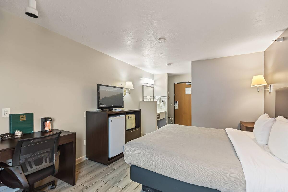 A hotel room with a bed, desk, television, and a small refrigerator.