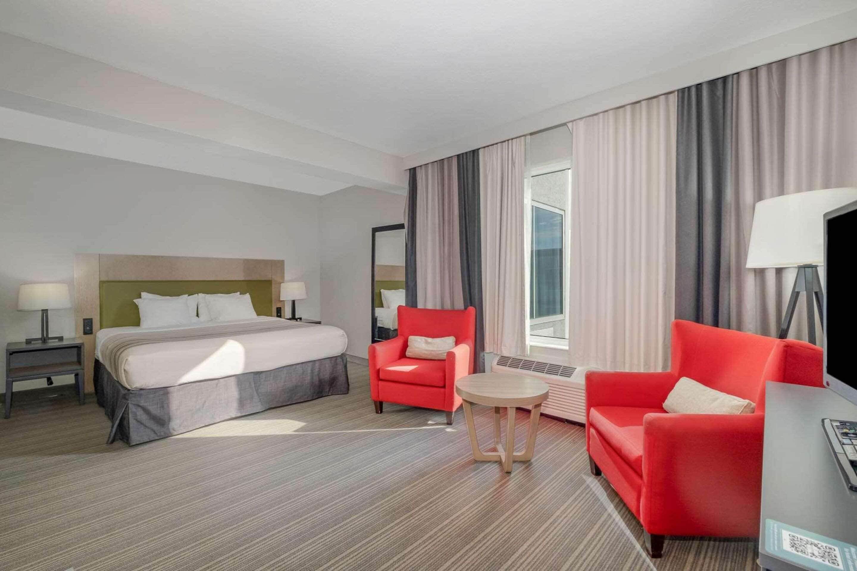 premium studio suite, 1 king bed, non smoking | 1 bedroom, premium bedding, pillow-top beds, desk